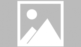 动漫 御姐,动漫中的成熟魅力